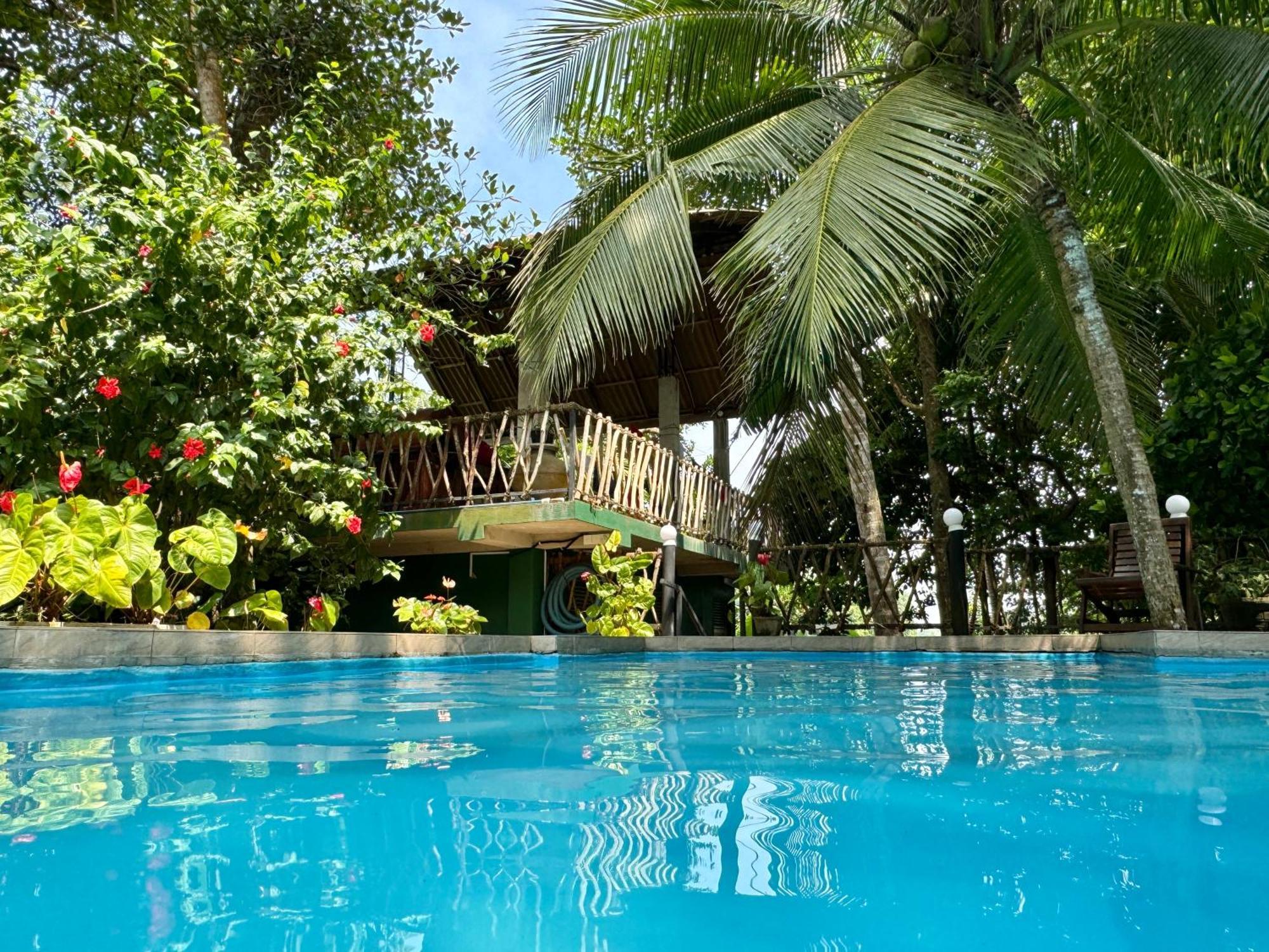 Swastha Ayurveda Villa Hikkaduwa Buitenkant foto
